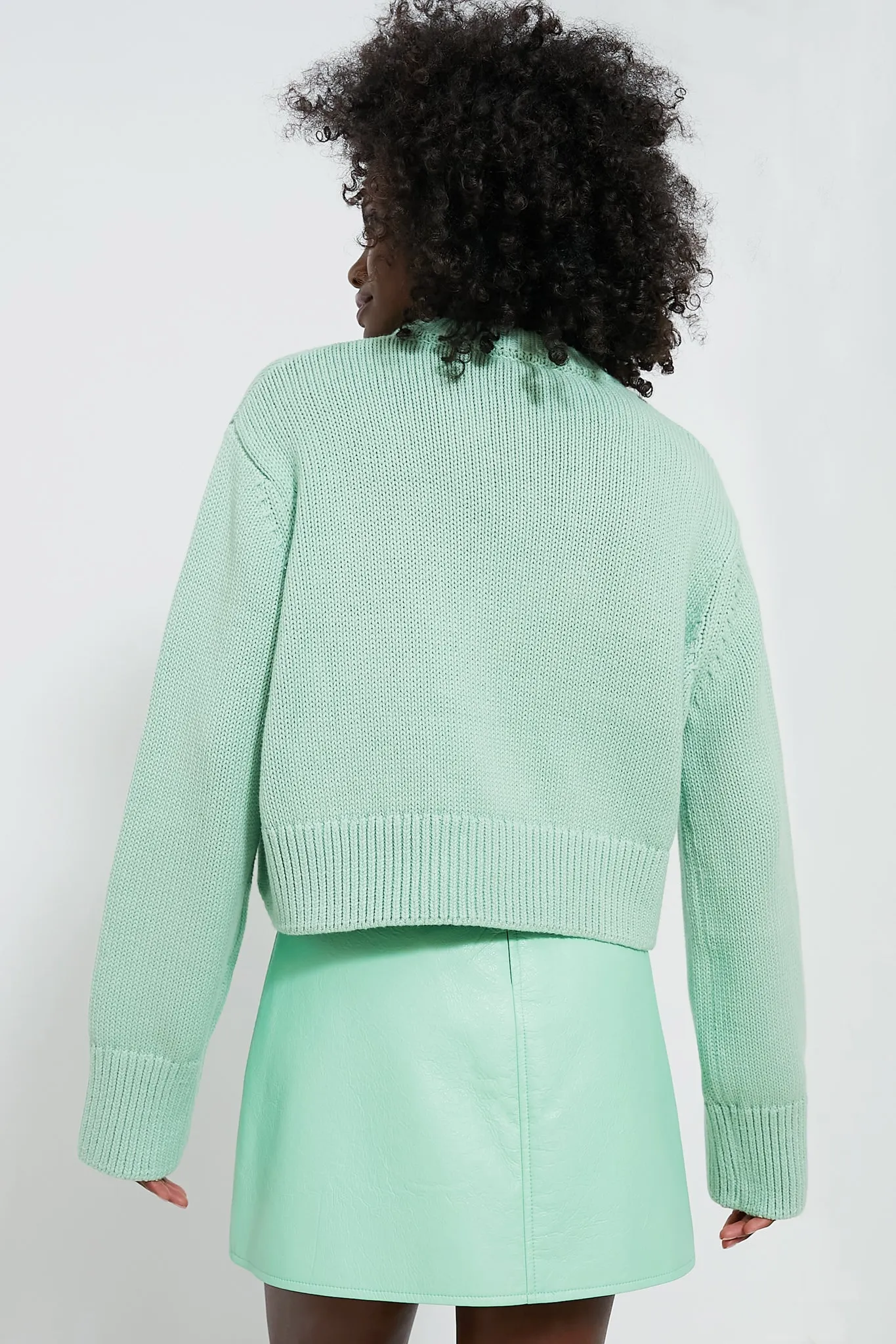 Mint Chip Aiden Sweater