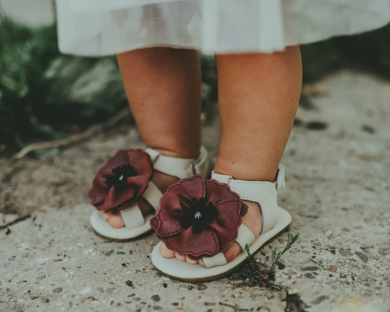 Tuti Fields Sandals | Poppy | Scarlet Classic Leather